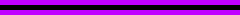 Purple Belt Snr 
